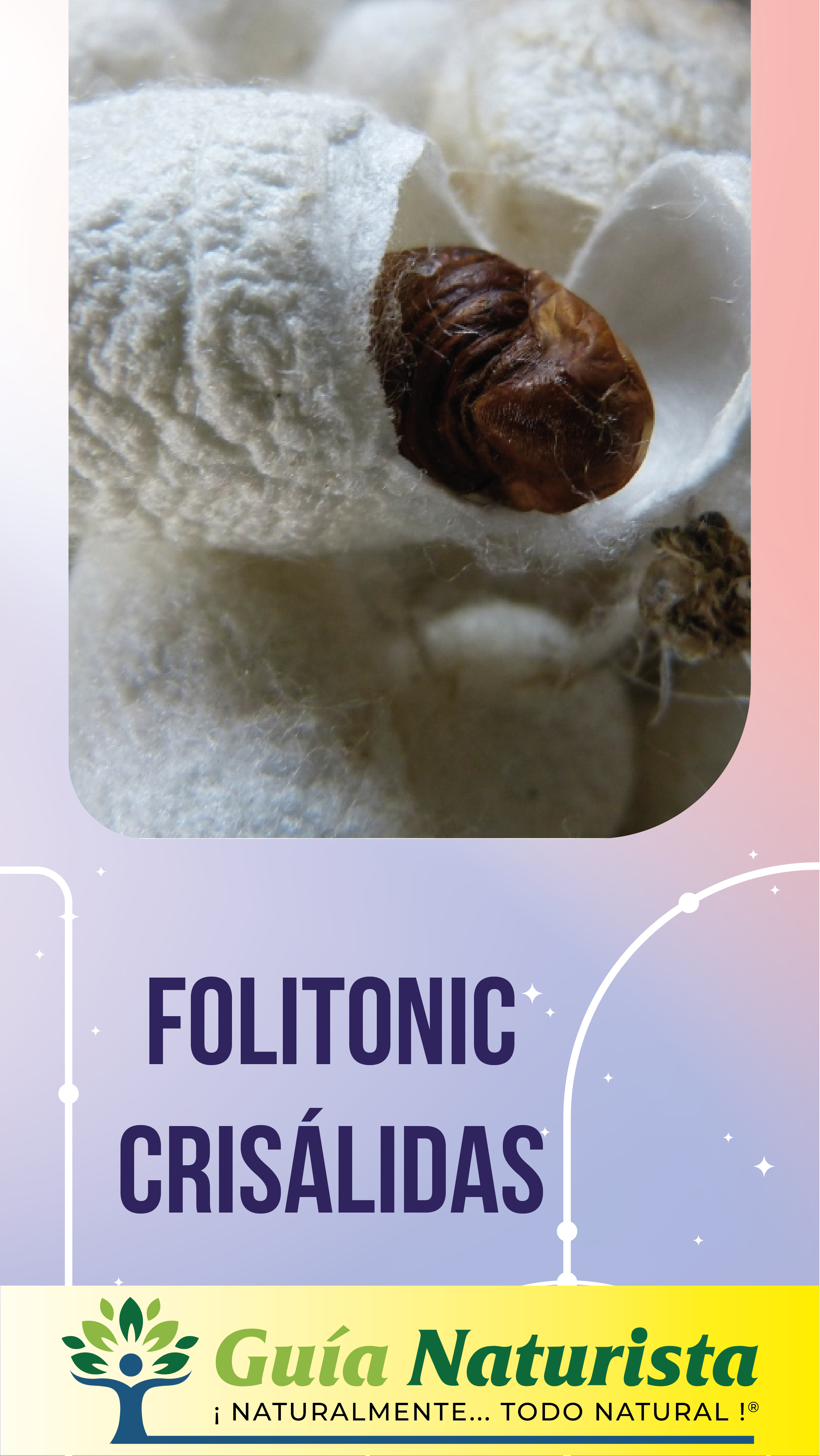 folitonic