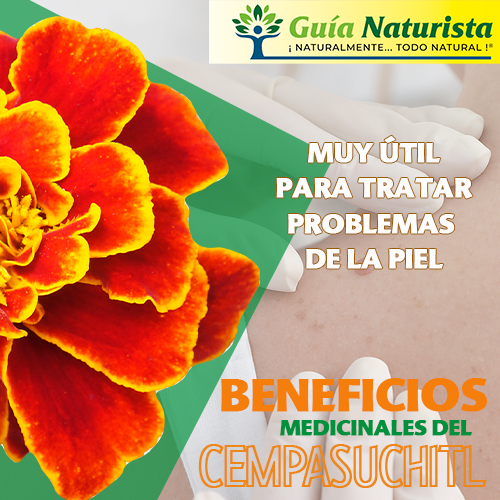 BENEFICIOS PIEL